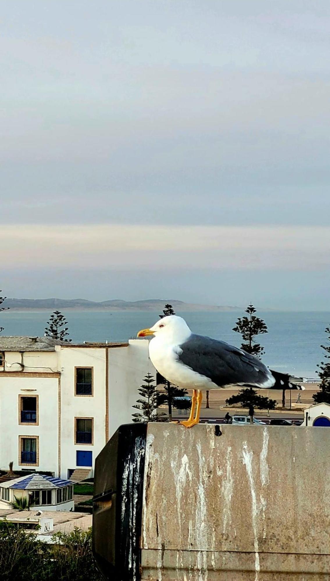 Riad Ocean Medina Essaouira Esterno foto