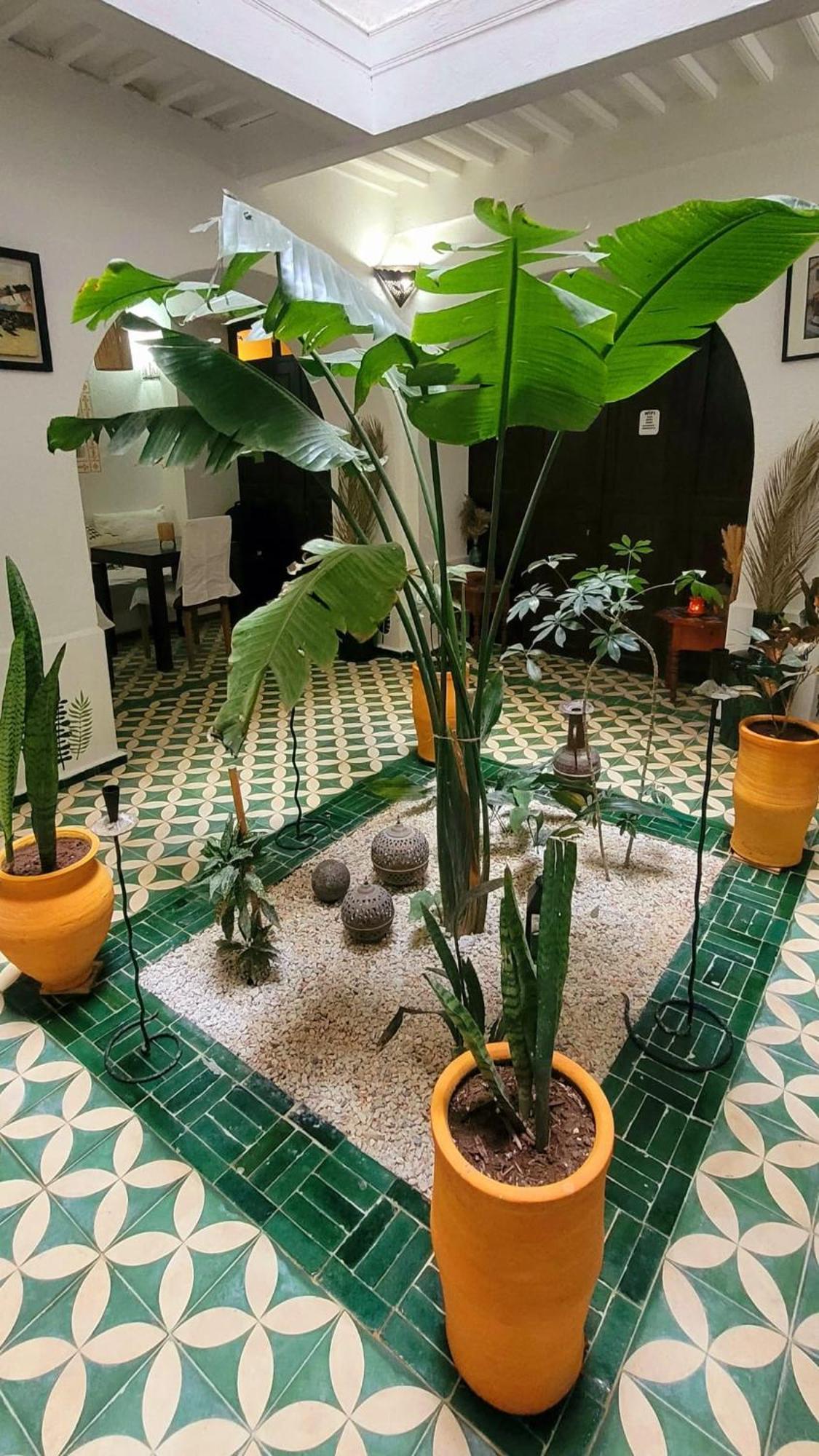 Riad Ocean Medina Essaouira Esterno foto